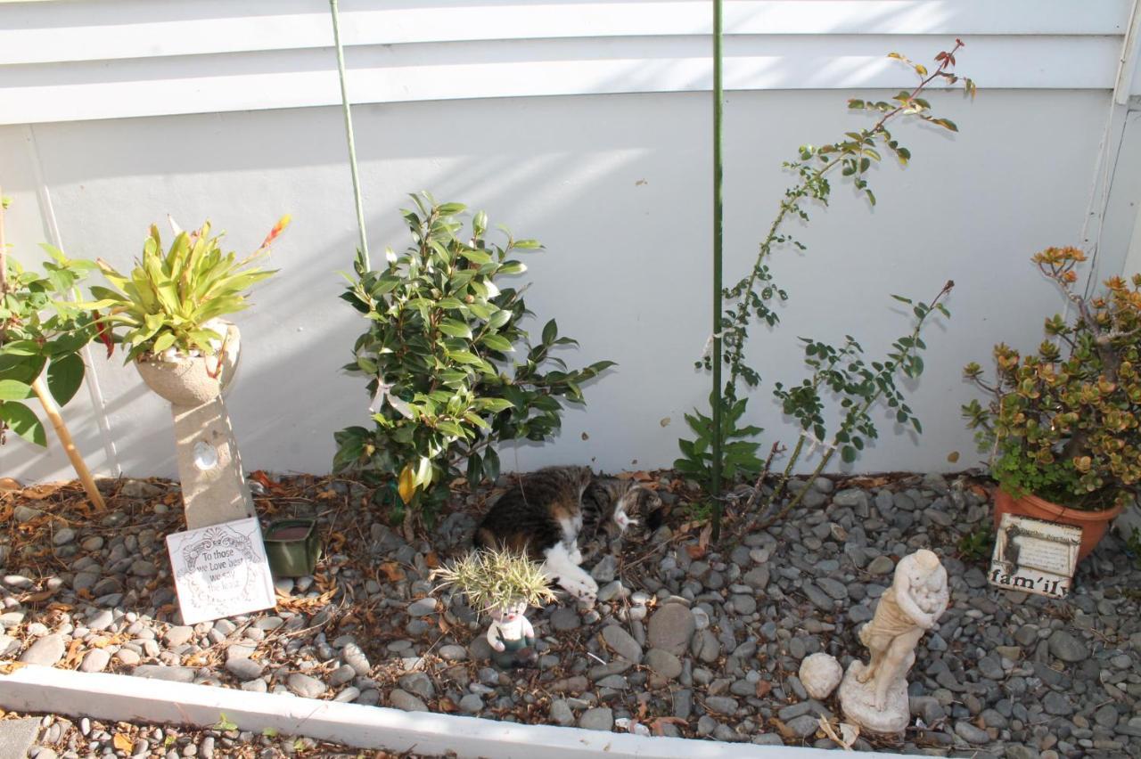 Brockies B N B Bed and Breakfast Rawene Εξωτερικό φωτογραφία